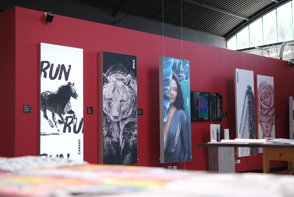 showroom-of-hive-1